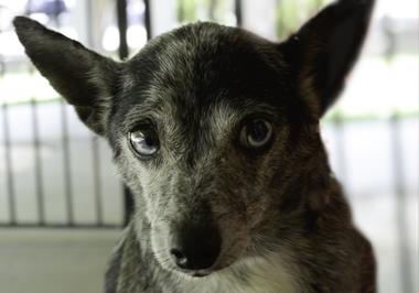 Lucky-22-19 Lucky-22-19