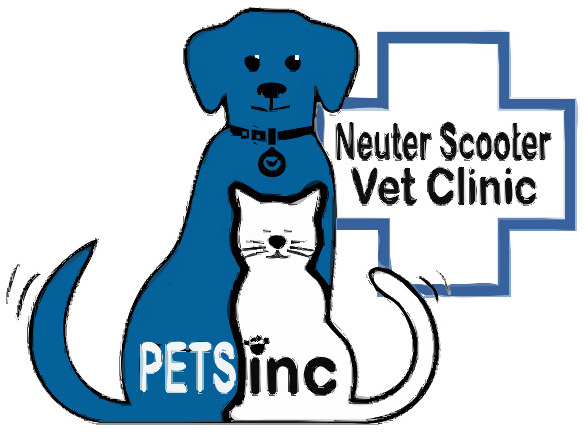 Affordable pet vet clinic best sale near me