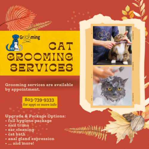 CatGrooming CatGrooming