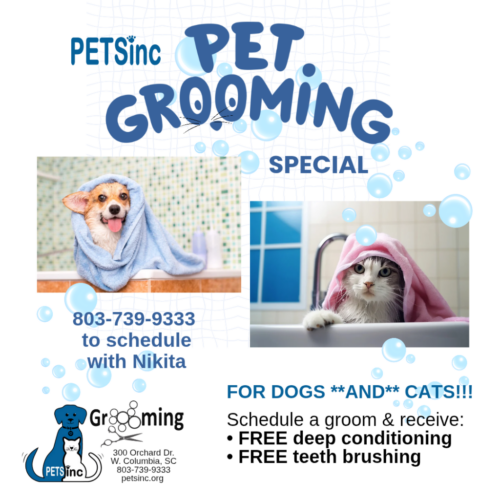 GroomingSpecial