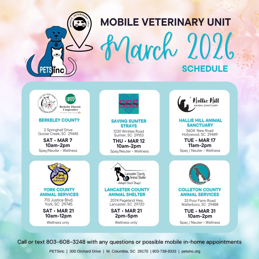 Call or text 803-608-3248 for possible in home appointments or any questions at all.