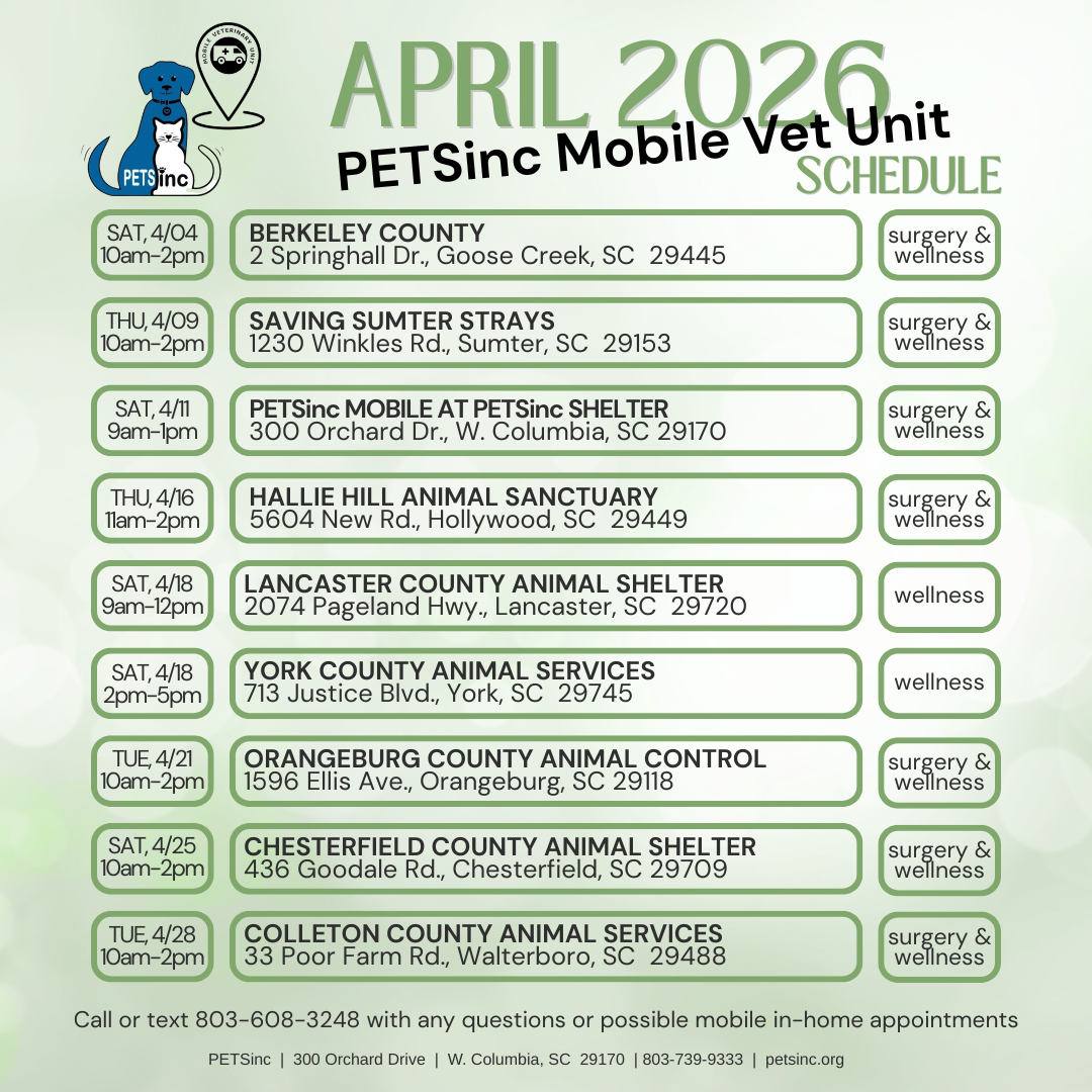 Call or text 803-608-3248 for possible in home appointments or any questions at all.