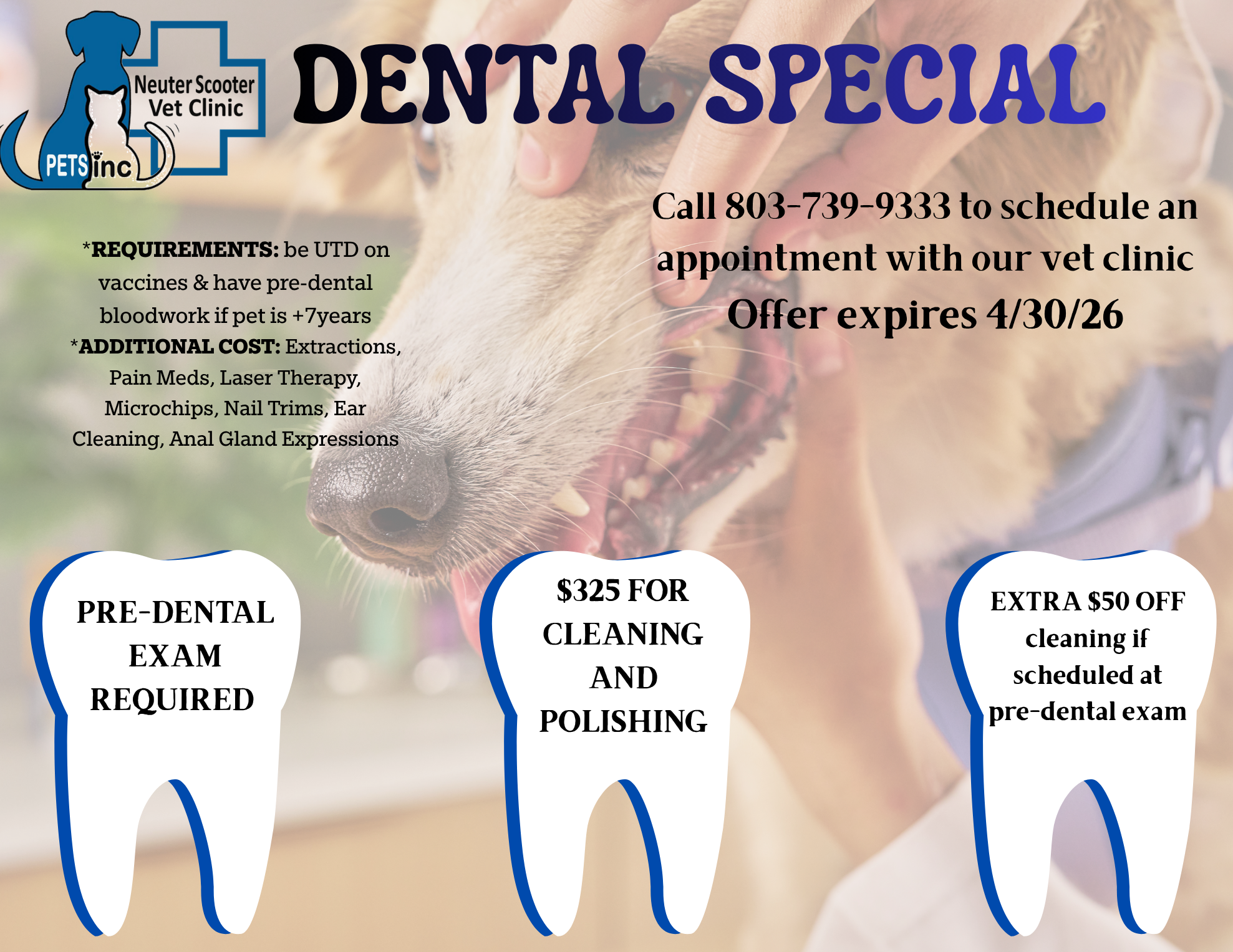 DENTAL SPECIAL4-2026