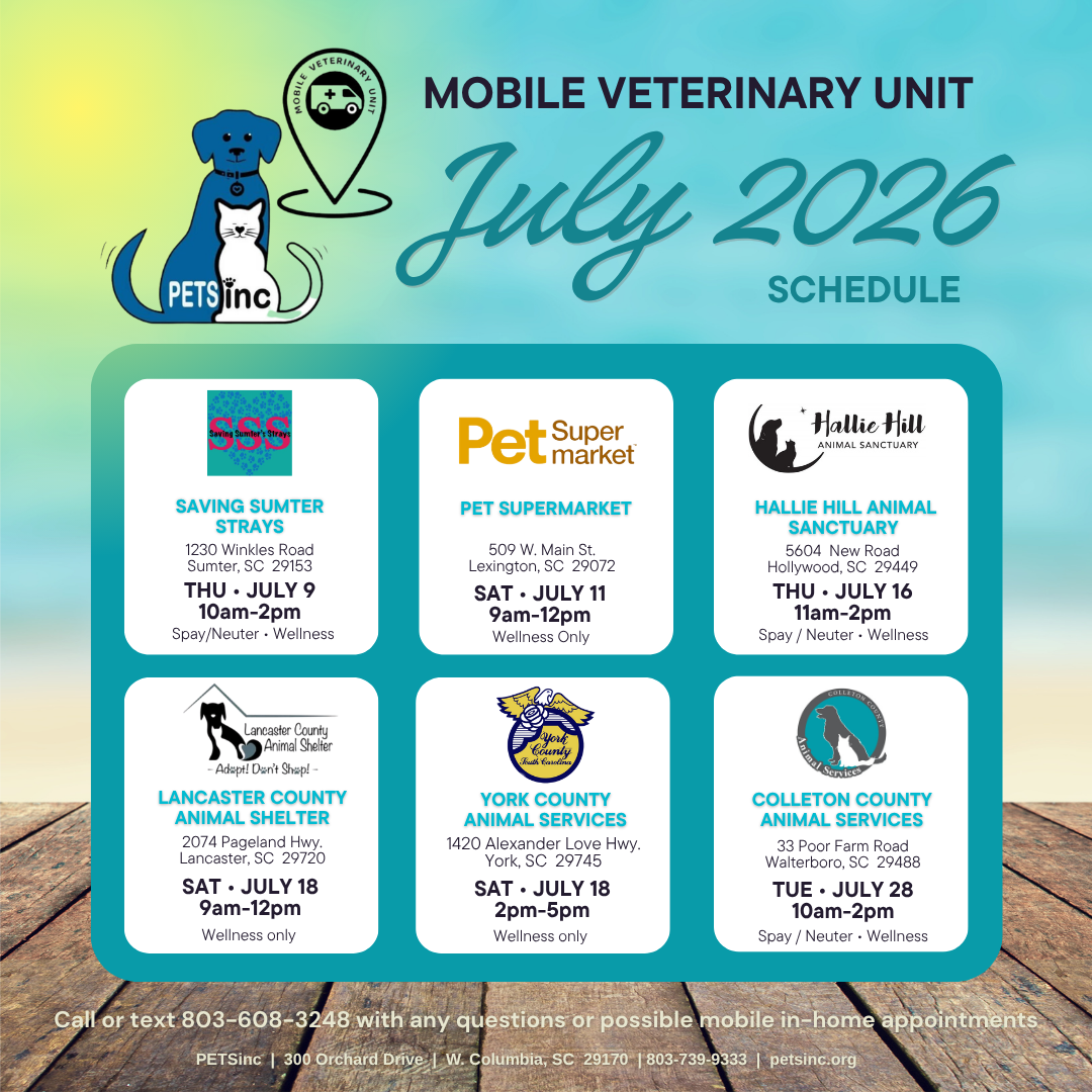 Call or text 803-608-3248 for possible in home appointments or any questions at all.