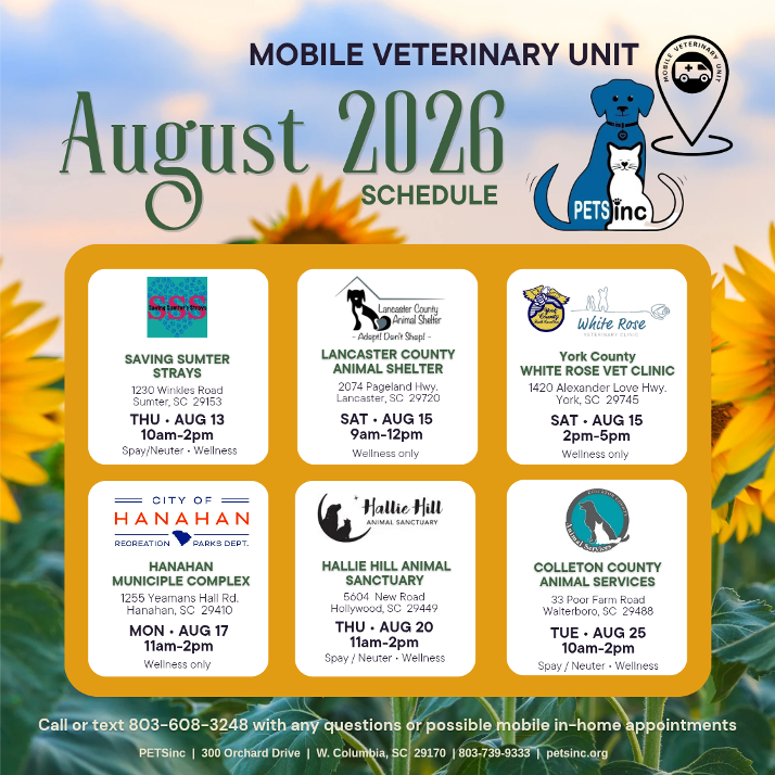 2026 August schedule 2026 August schedule